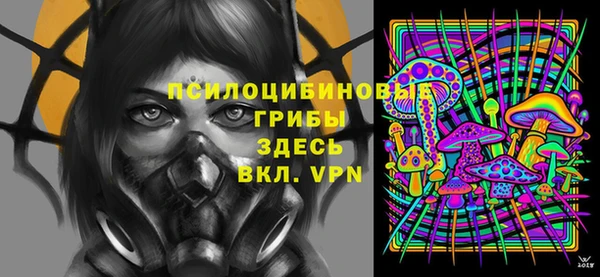 сатива Киреевск