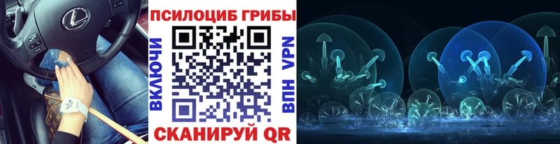 Псилоцибиновые грибы GOLDEN TEACHER  продажа наркотиков  Набережные Челны 
